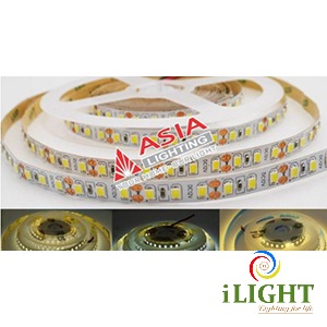 Đèn Led Trang trí_ iLIGHT Việt Nam